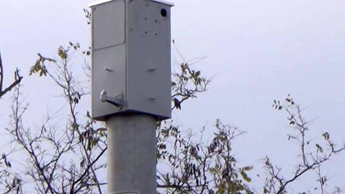 agropoli vincono gli automobilisti disattivato l autovelox