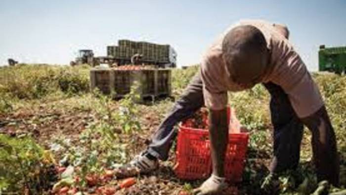 tratta degli immigrati in aula sfilano i testimoni