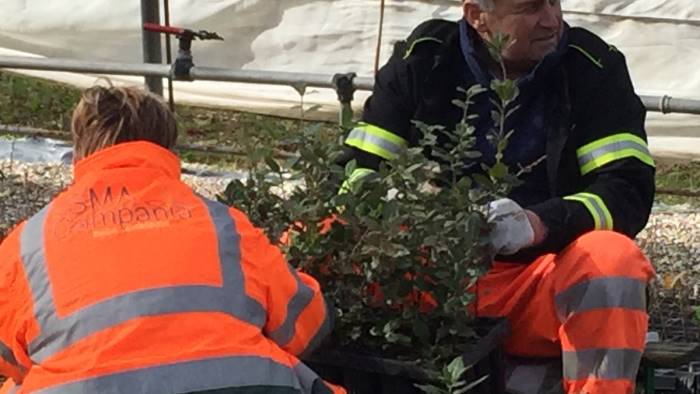 eboli sma campania a supporto del vivaio regionale improsta