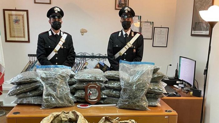 scoperti 41 chili di droga in un pacco dei magazzini della sda