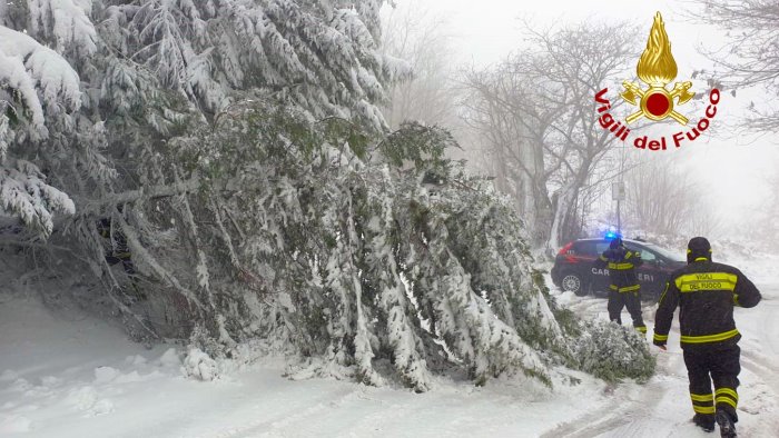 albero cade sulla provinciale 27 in azione i caschi rossi