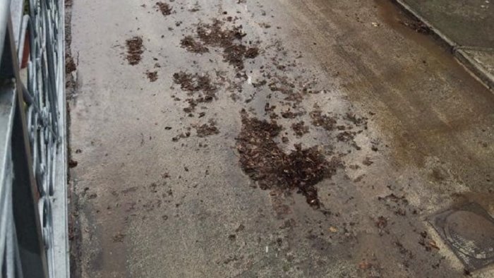 montanaro mai piu allagamenti a fontana del lago