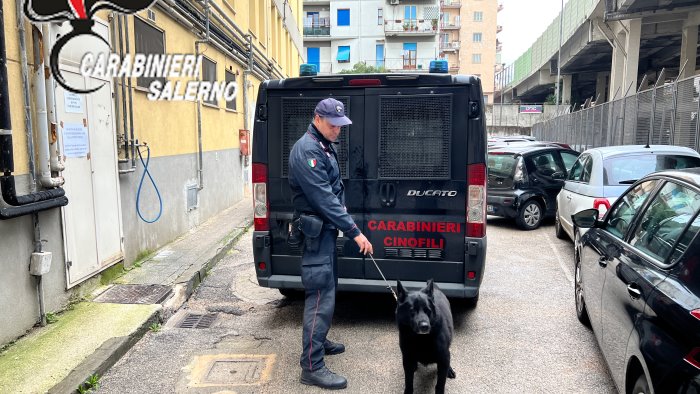 sala consilina controlli antidroga nelle scuole trovato hashish