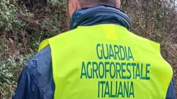 marano operazione di monitoraggio ambientale della guardia agroforestale