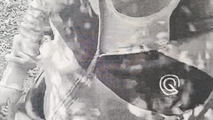 furti a raffica nell agrumeto foto trappola incastra il ladro