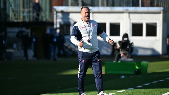 salernitana frosinone i convocati di breda out simy