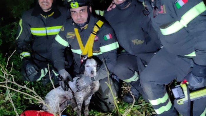 cane cade nella vasca del mulino abbandonato salvato dai vigili del fuoco