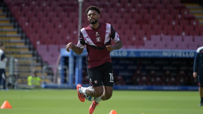 salernitana frosinone le probabili formazioni breda pensa a tre cambi