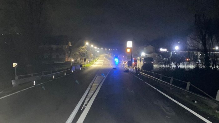 strage di cinghiali e due auto coinvolte in un incidente paura sulla statale 90