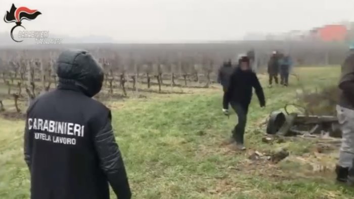 salvati pd arrestato per immigrazione clandestina centrodestra all attacco