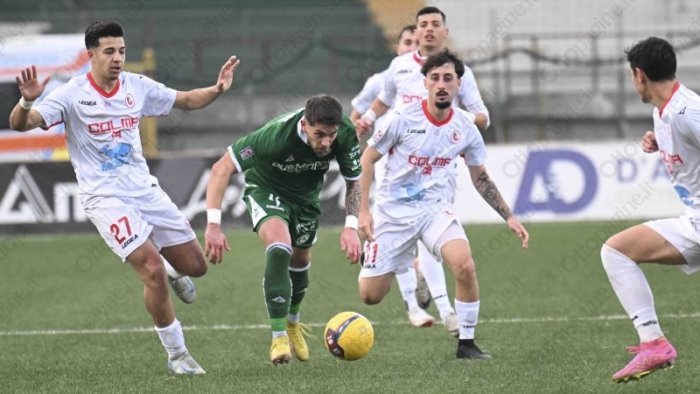 foggia avellino probabili formazioni 7 nel settore ospiti lupi per la vetta