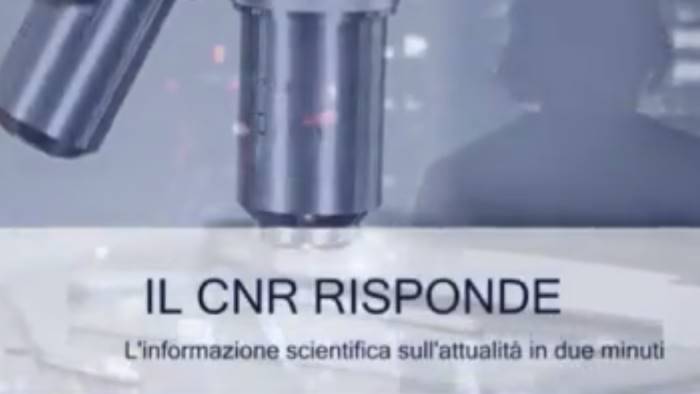 il cnr risponde video per divulgare sui social la scienza