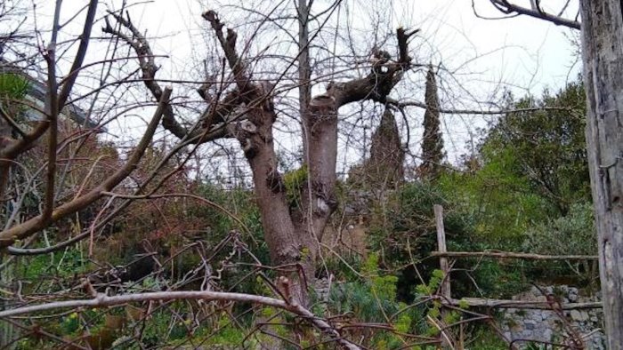 tramonti nel giardino segreto dopo 13 mesi un nuovo sfregio