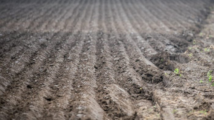 pulisce il fondo agricolo nel sito protetto 60enne di vallata finisce nei guai