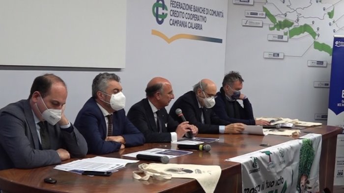bcc campania centro e buccino comuni cilentani piantano 500 alberi