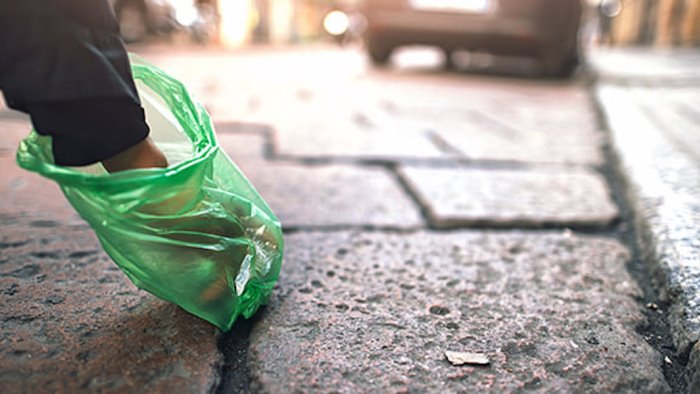 nocera superiore non raccolgono i bisogni del cane multati 4 incivili