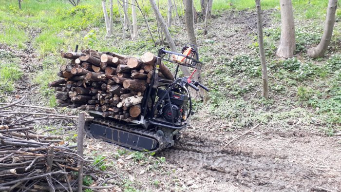 acquista online una motocarriola a 750 euro ma era una truffa