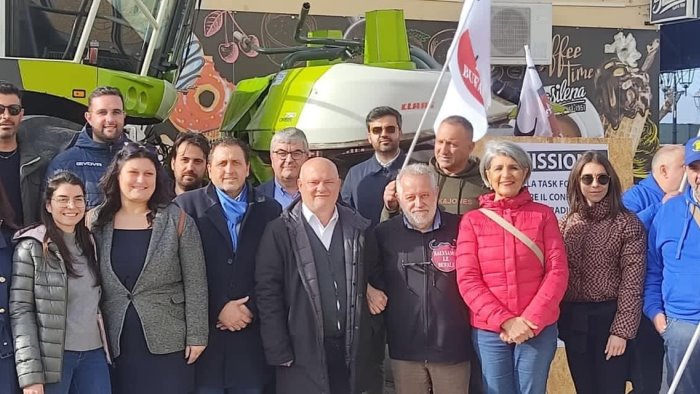 brucellosi muscara non fidatevi di nessuno soprattutto dei politici