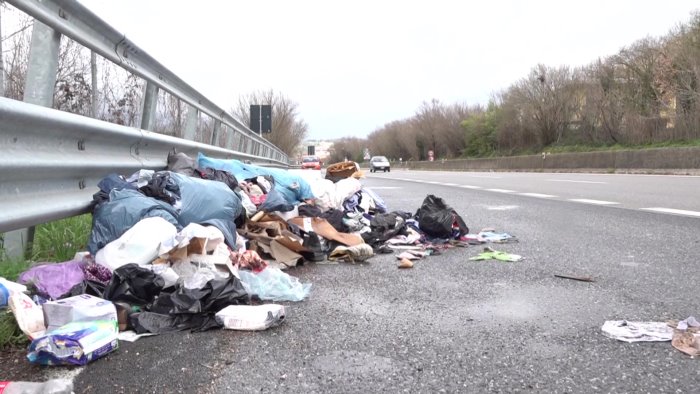 spazzatura animali morti e degrado e scempio rifiuti abbandonati sul raccordo
