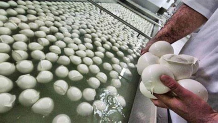 allevamento di bufale sequestrato animalisti si costituiranno parte civile