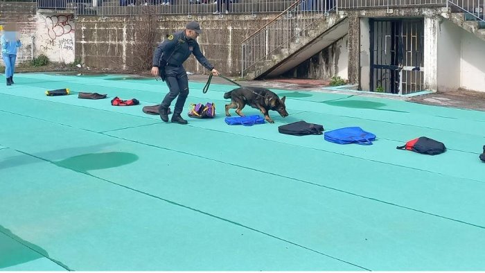 cultura della legalita la guardia di finanza incontra gli studenti di nocera