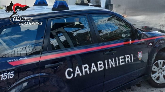 mercogliano gestione illecita di rifiuti denunciato e sanzionato