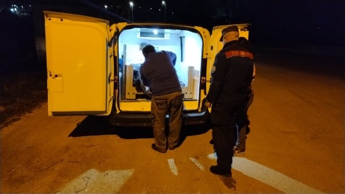 la lupa di bisaccia uccisa da cane di grossa taglia era un esemplare purissimo