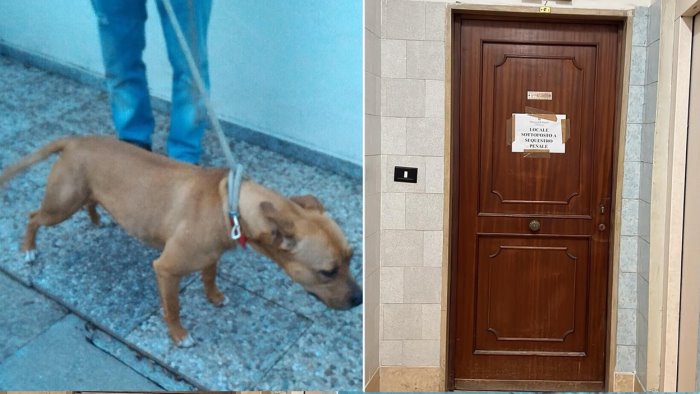 acerra dissequestrata la casa della tragedia della piccola giulia