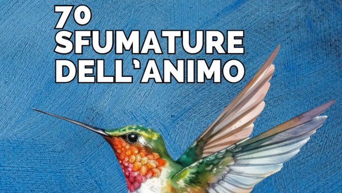 70 sfumature dell animo l ultimo affascinante libro di carmine leo