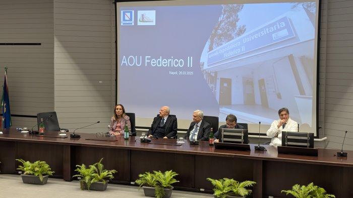 de luca sfida il governo sanita stop al piano di rientro per la campania