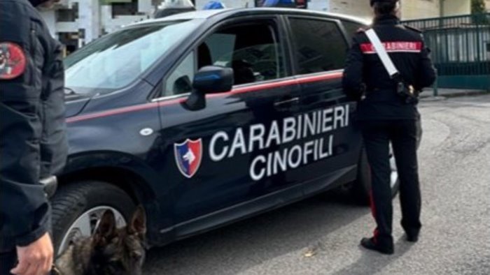 lioni raffica di perquisizioni in alta irpinia con le unita cinofile