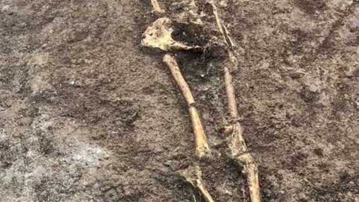 ad atena lucana scoperti reperti archeologici di epoca romana