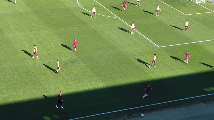 salernitana diffide e fiato corto breda valuta alternative