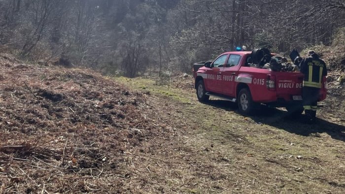 uomo bloccato sotto un ramo intervento dei vigili del fuoco a lioni
