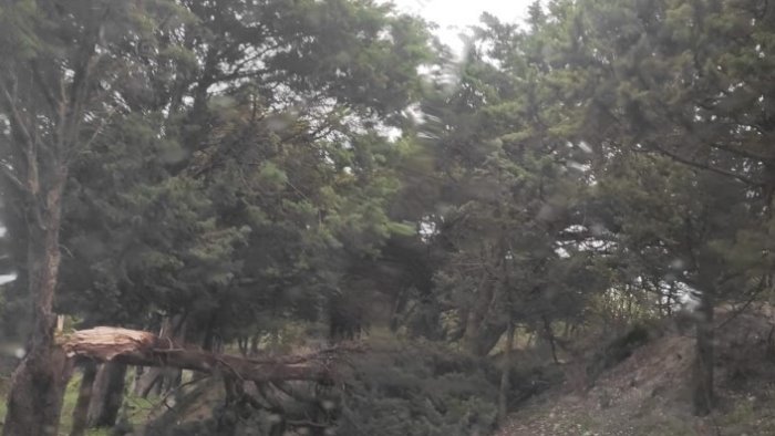 forti-raffiche-di-vento-in-campania-dalla-scorsa-notte-allerta-meteo-in-vigore