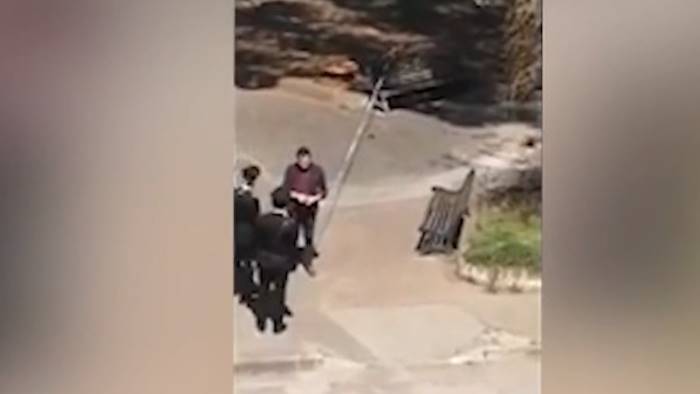 in giro con il pappagallo al guinzaglio multa da 400 euro