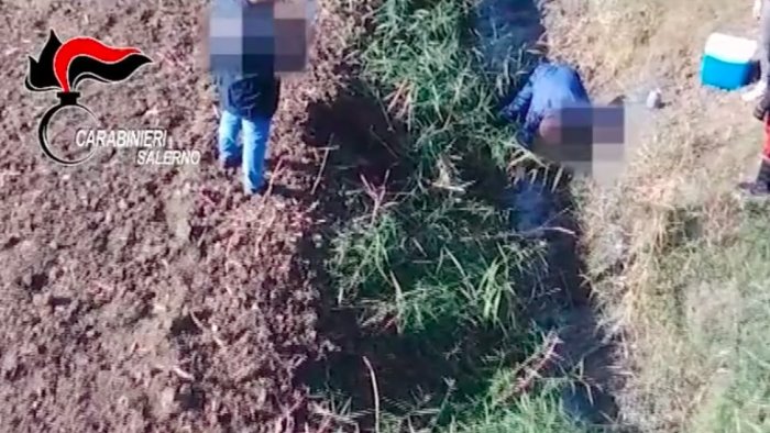 rifiuti nel vallo rinaldi lo stato faccia la sua parte