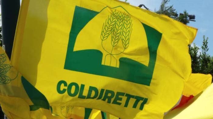 inchiesta vallo di diano comparto agricolo e salubre