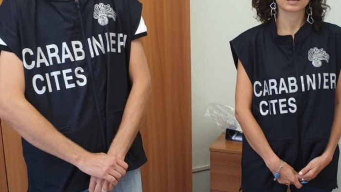 carabinieri recuperano i resti di un cetaceo nel salernitano