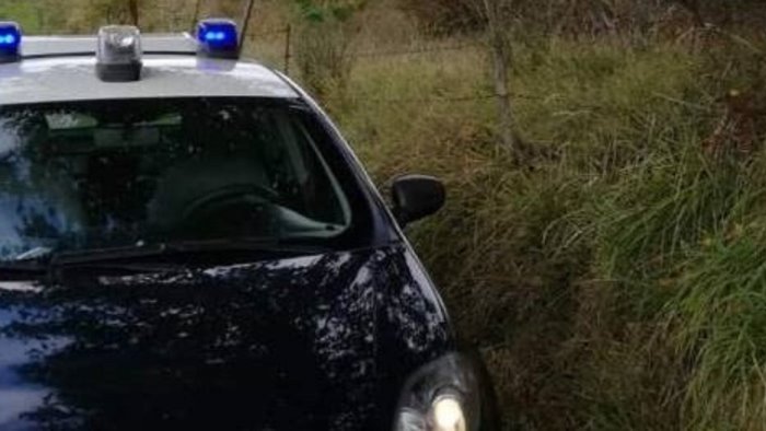 carne alla brace per 12 nel bosco tutti sanzionati