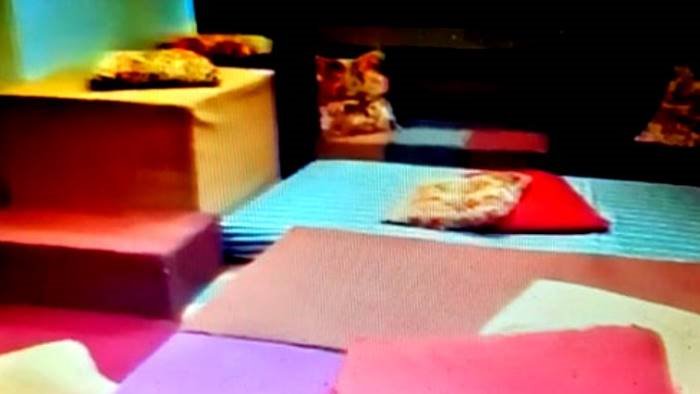 zinzi su autismo concretezza e soluzioni rapide