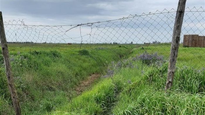 caccia illegale ancora bracconaggio in campania