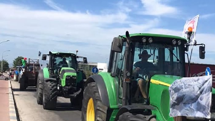 corteo sull a1 conclusa la protesta degli allevatori casertani