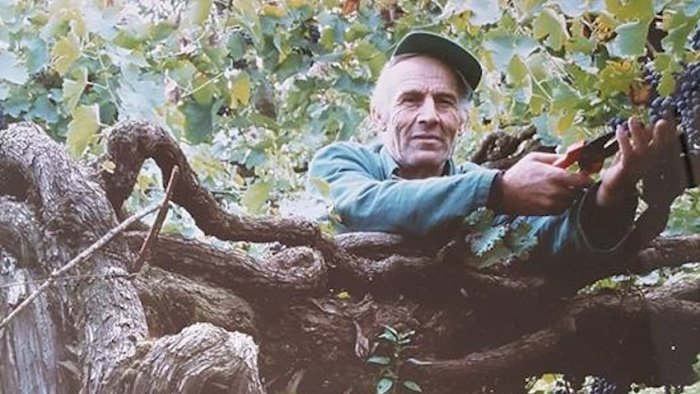 la denuncia una strada cancellera il nostro vino piu prezioso