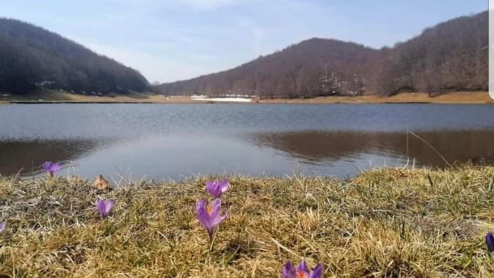 pasquetta selvaggia e rifiuti abbandonati rispettate i boschi del partenio