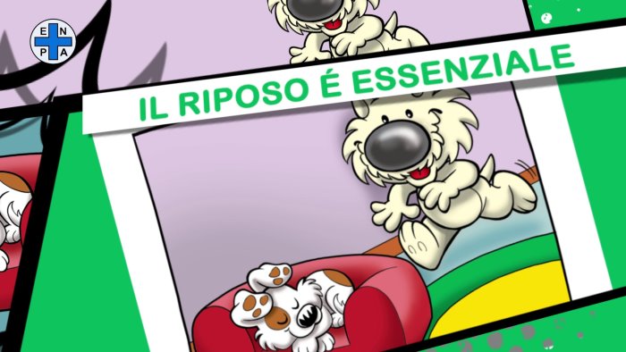 mettetevi nelle zampe del vostro cane ogni tanto