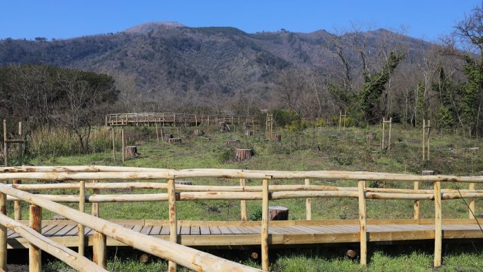 grande mobilitazione per la giornata ecologica a terzigno