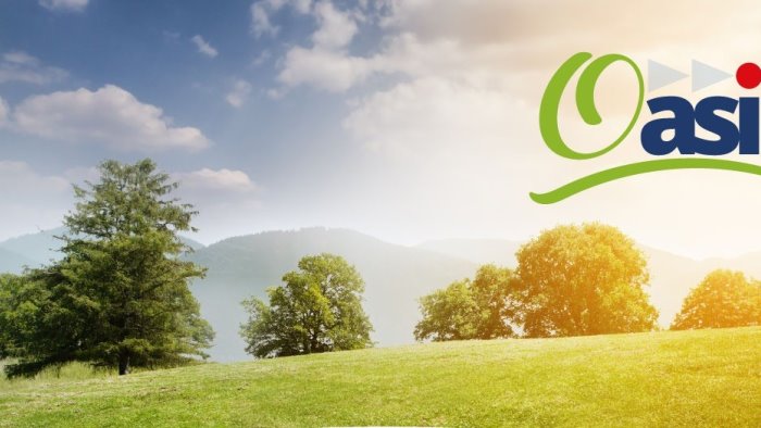 entro il 2024 oltre 5mila nuovi alberi nelle zone industriali di salerno