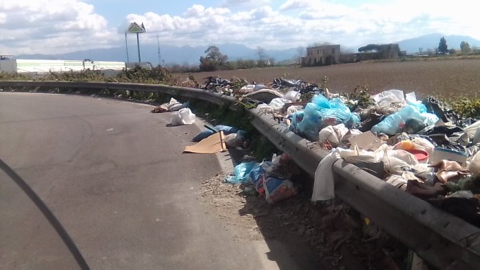 degrado ad afragola la guardia agroforestale denuncia l ennesima discarica