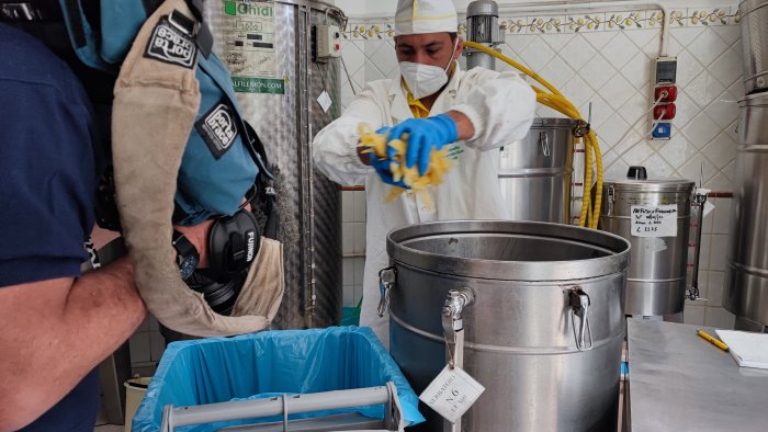 giornata della terra l esempio del turismo in costiera differenziata al 98